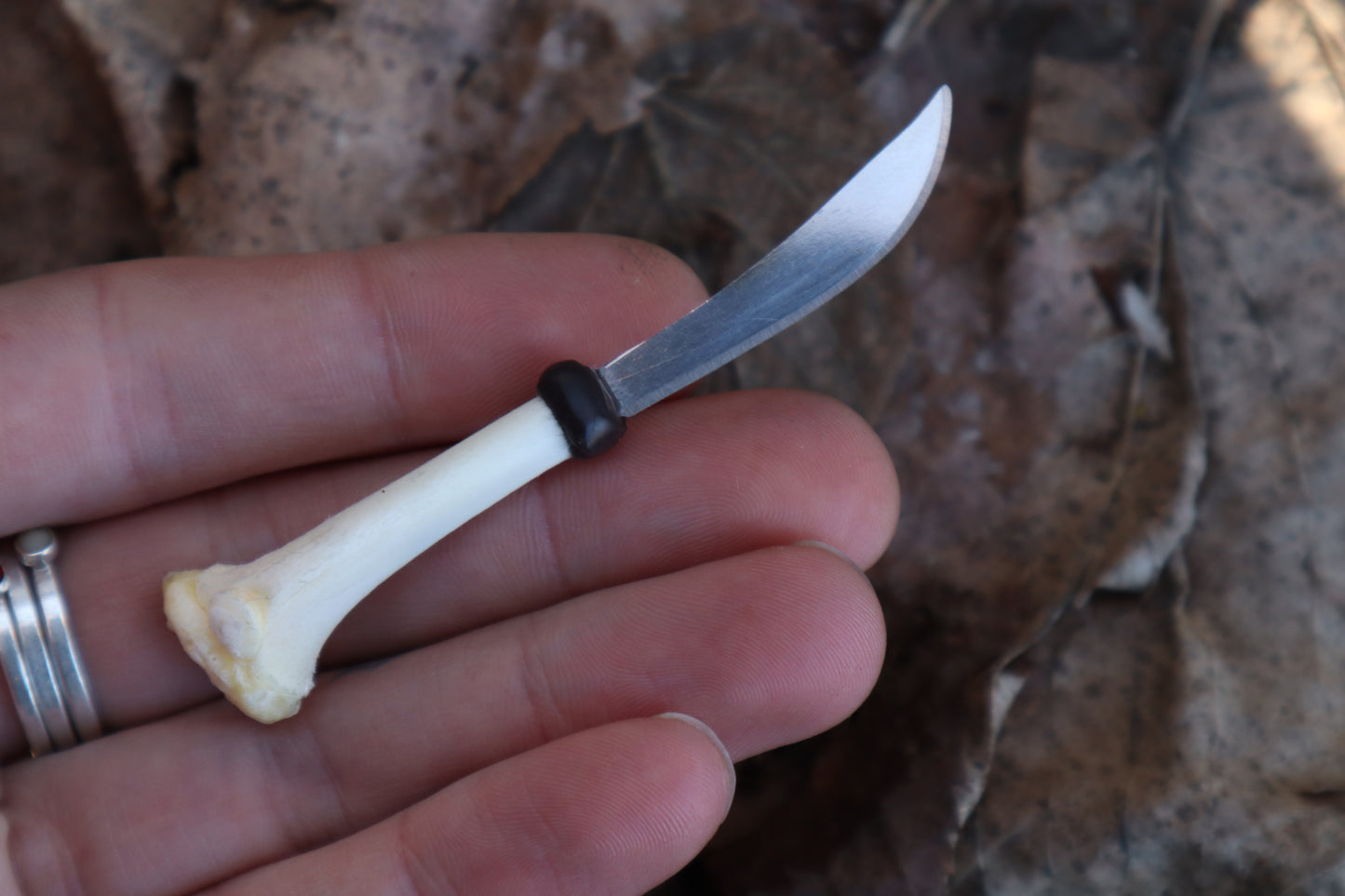 Kitten Tibia Knife