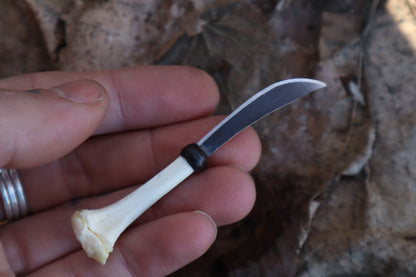 Kitten Tibia Knife