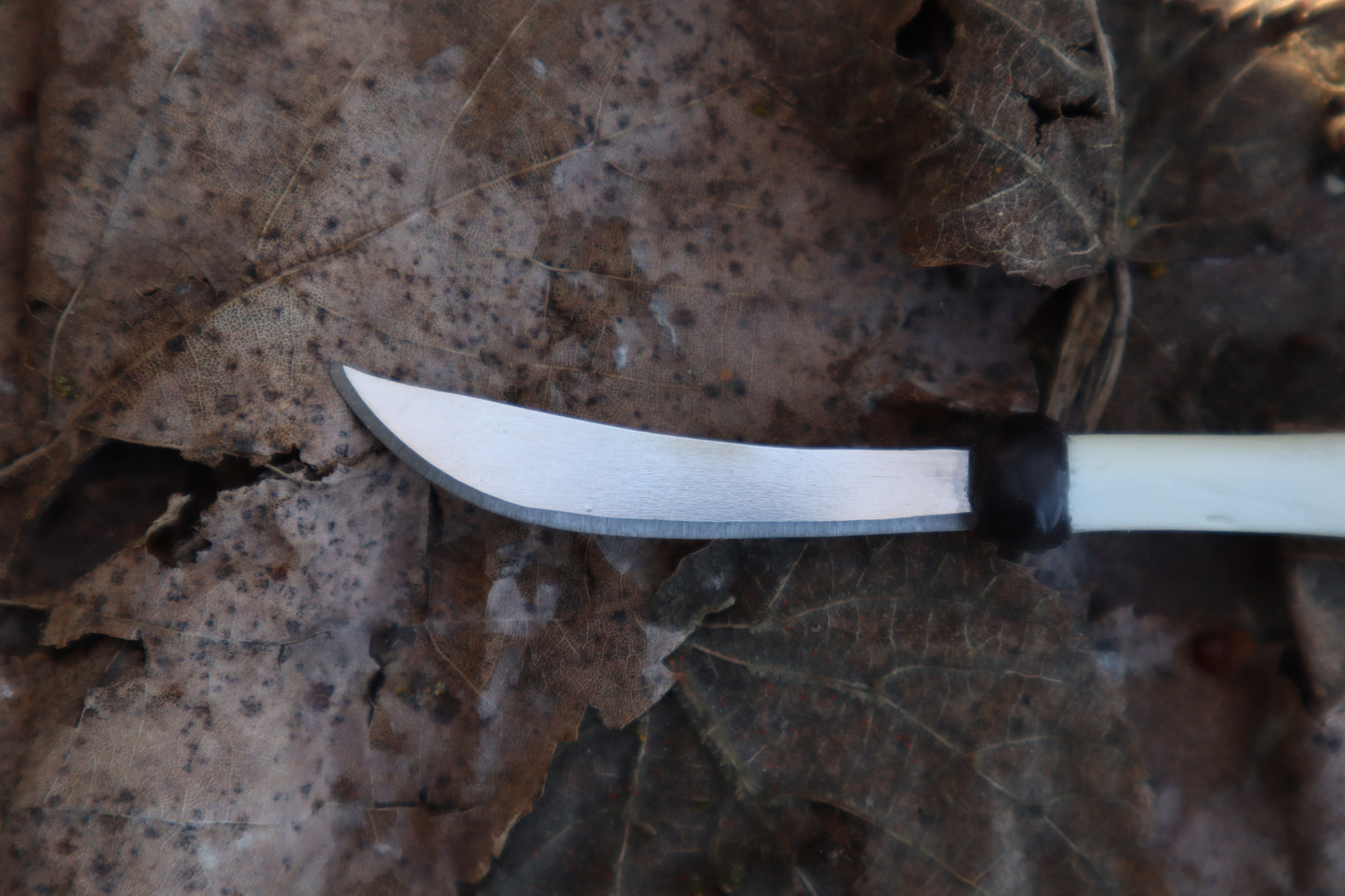 Kitten Tibia Knife
