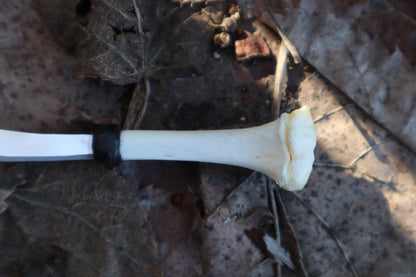 Kitten Tibia Knife