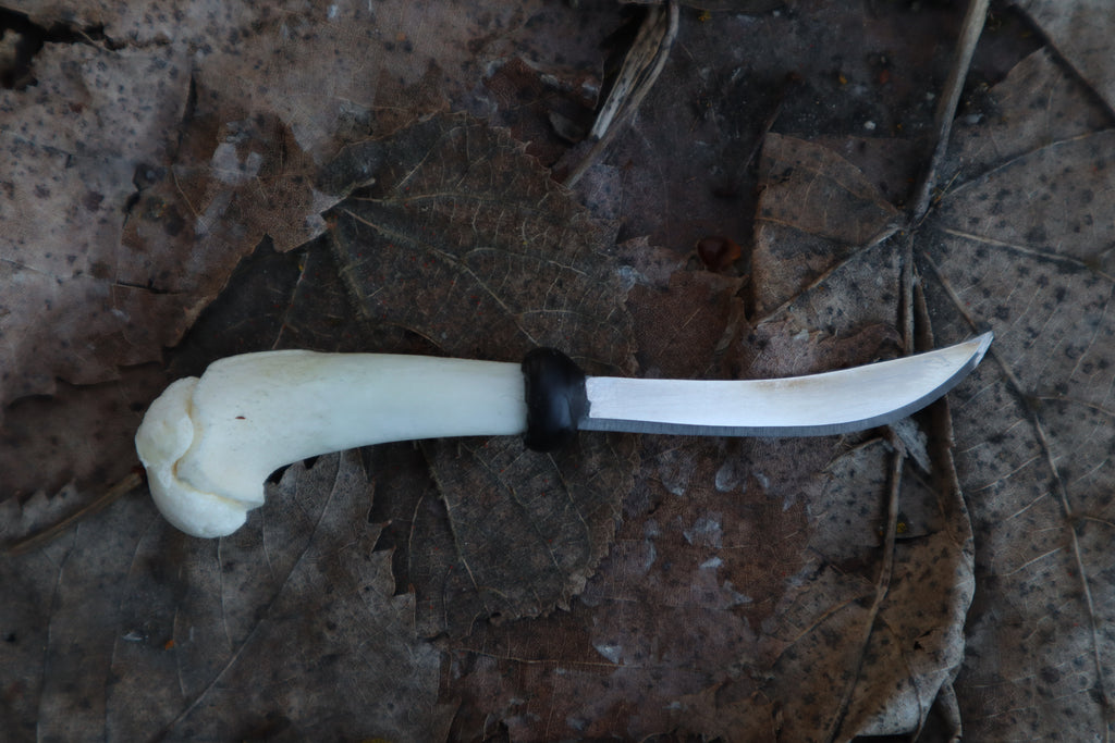 Kitten Humerus Knife