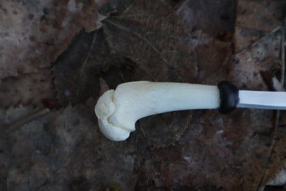 Kitten Humerus Knife
