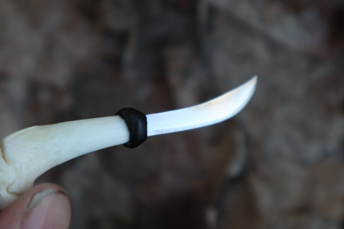 Kitten Humerus Knife