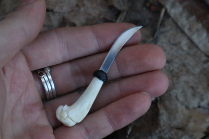 Kitten Humerus Knife