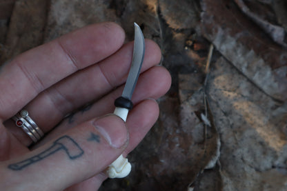 Kitten Humerus Knife