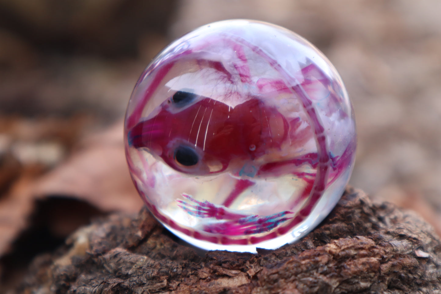 Diaphonized Rat Crystal Ball