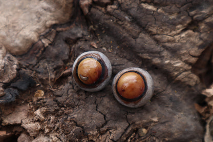 Dry Preserved Coyote Eyeballs