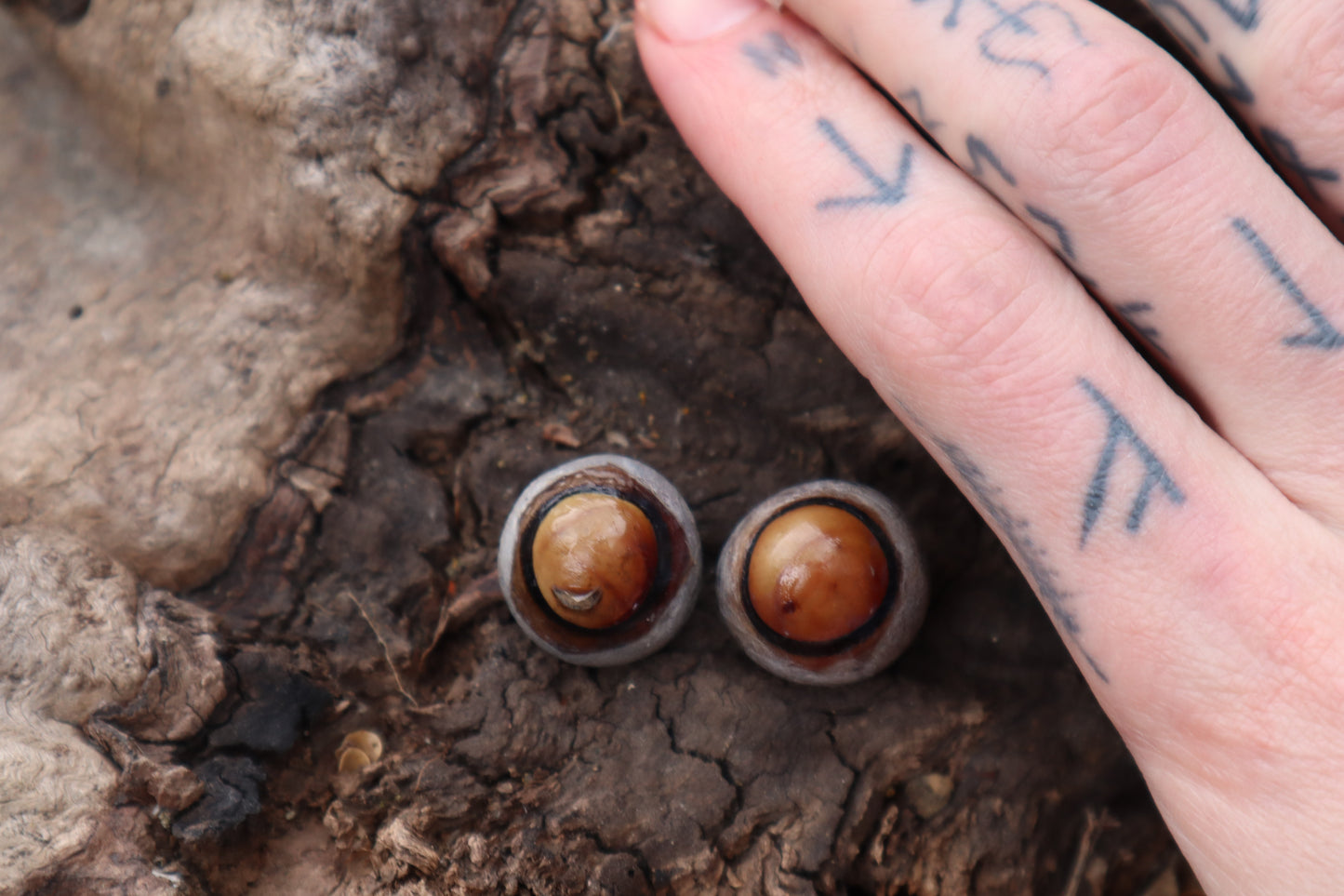 Dry Preserved Coyote Eyeballs