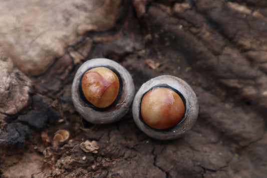 Dry Preserved Coyote Eyeballs