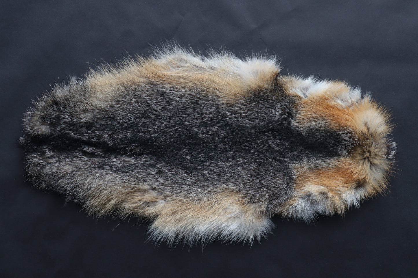 Gray Fox Altar Topper