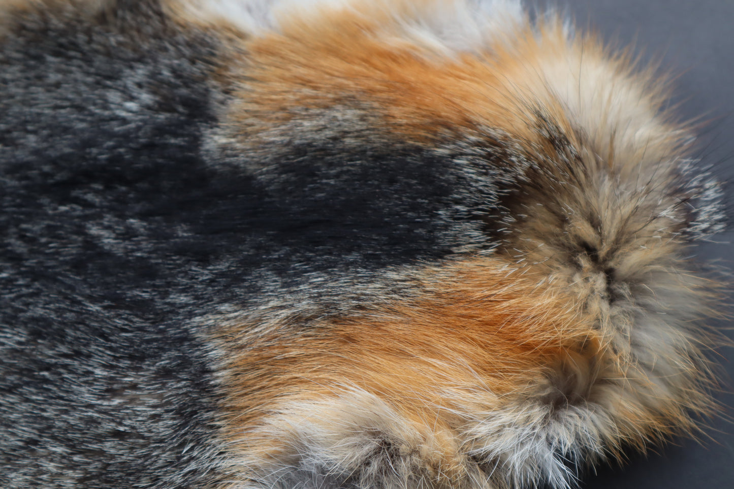 Gray Fox Altar Topper