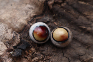 Dry Preserved Coyote Eyeballs