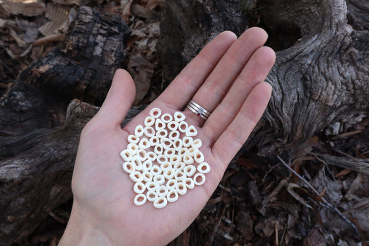 Gray Wolf Phalange Bone Beads