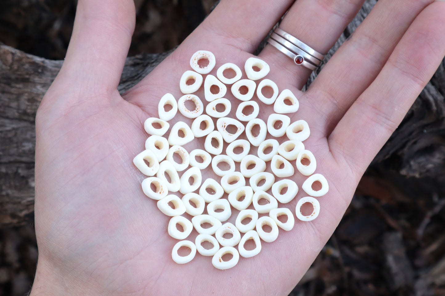 Gray Wolf Phalange Bone Beads