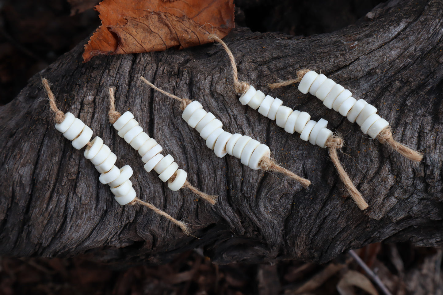 Gray Wolf Phalange Bone Beads