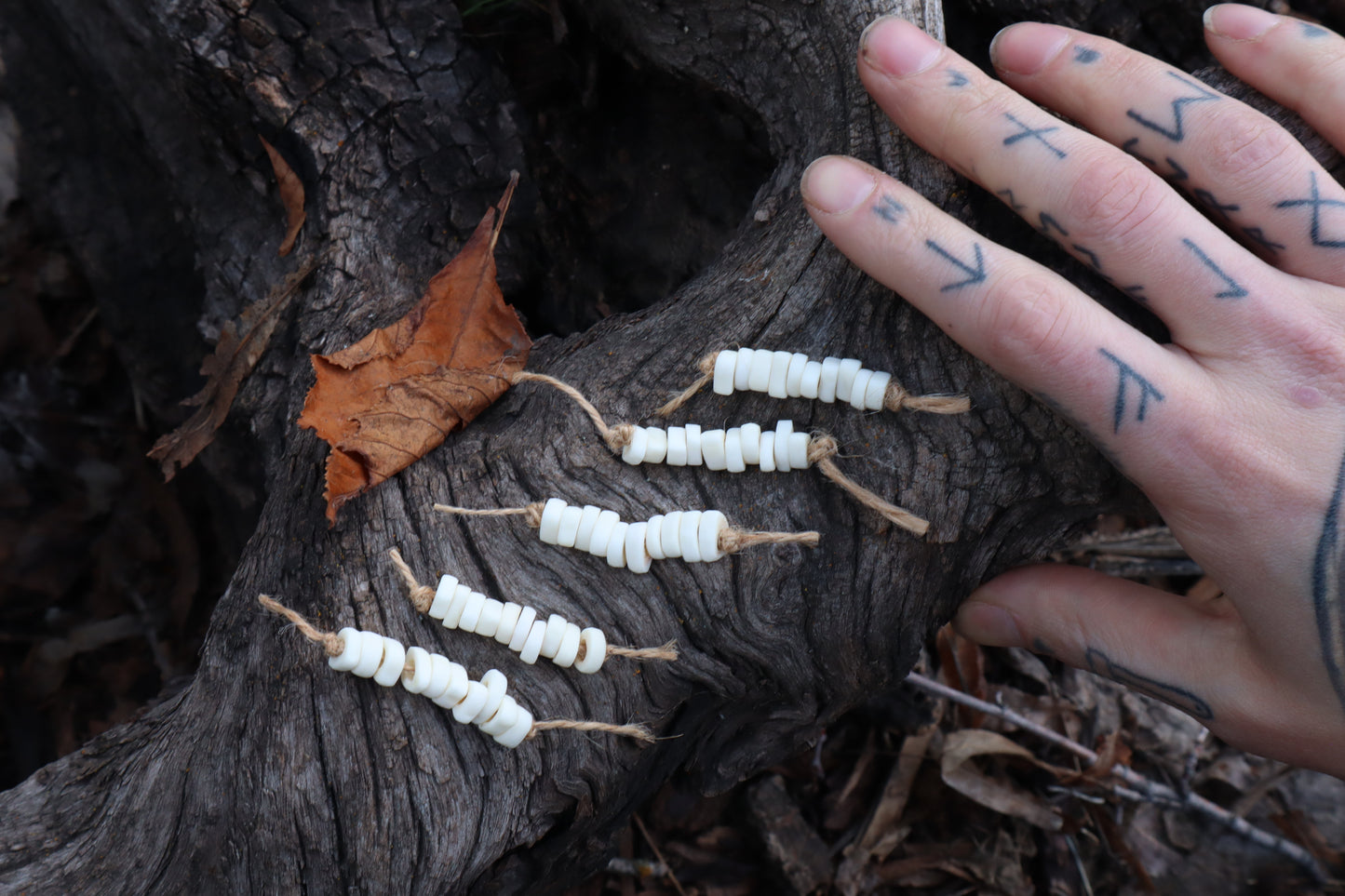 Gray Wolf Phalange Bone Beads