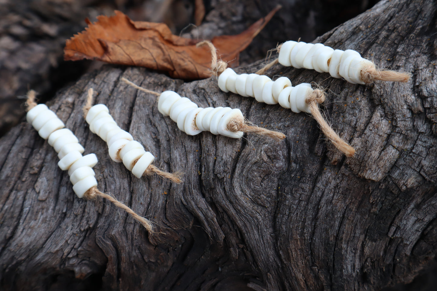 Gray Wolf Phalange Bone Beads