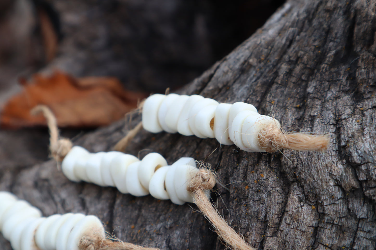 Gray Wolf Phalange Bone Beads