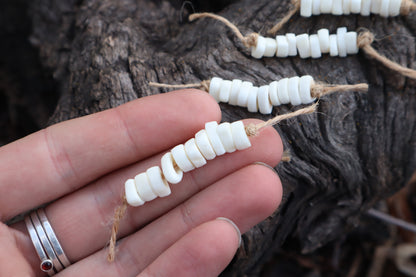 Gray Wolf Phalange Bone Beads