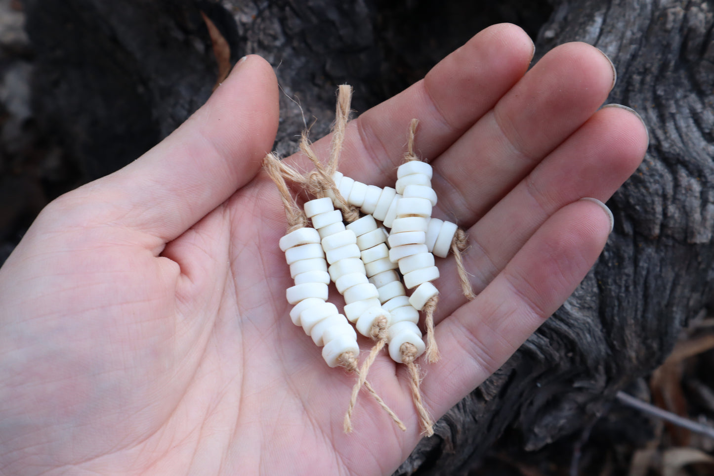 Gray Wolf Phalange Bone Beads