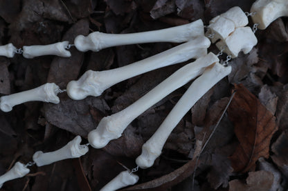 Fluid Gray Wolf Paw Articulation