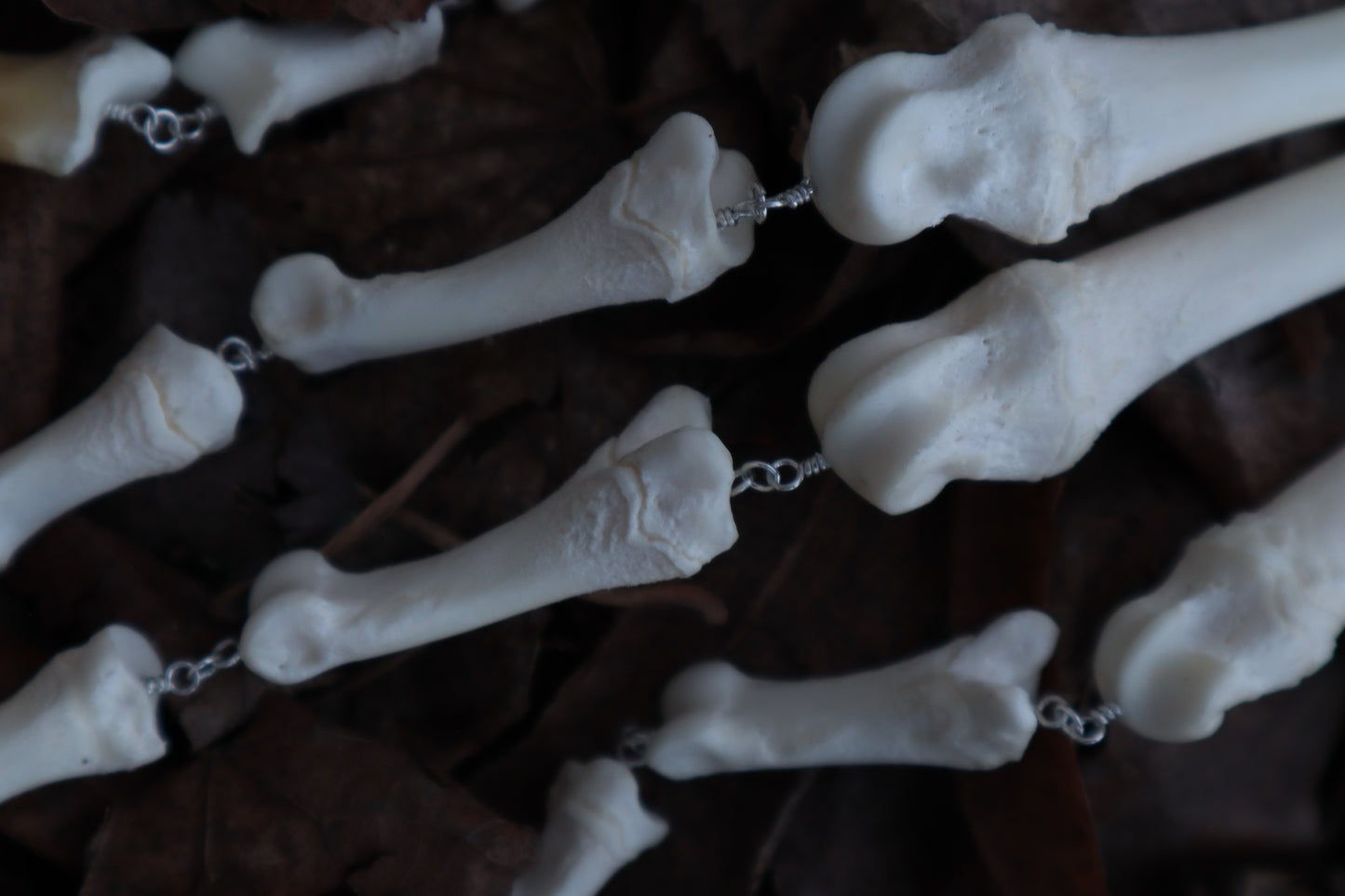 Fluid Gray Wolf Paw Articulation
