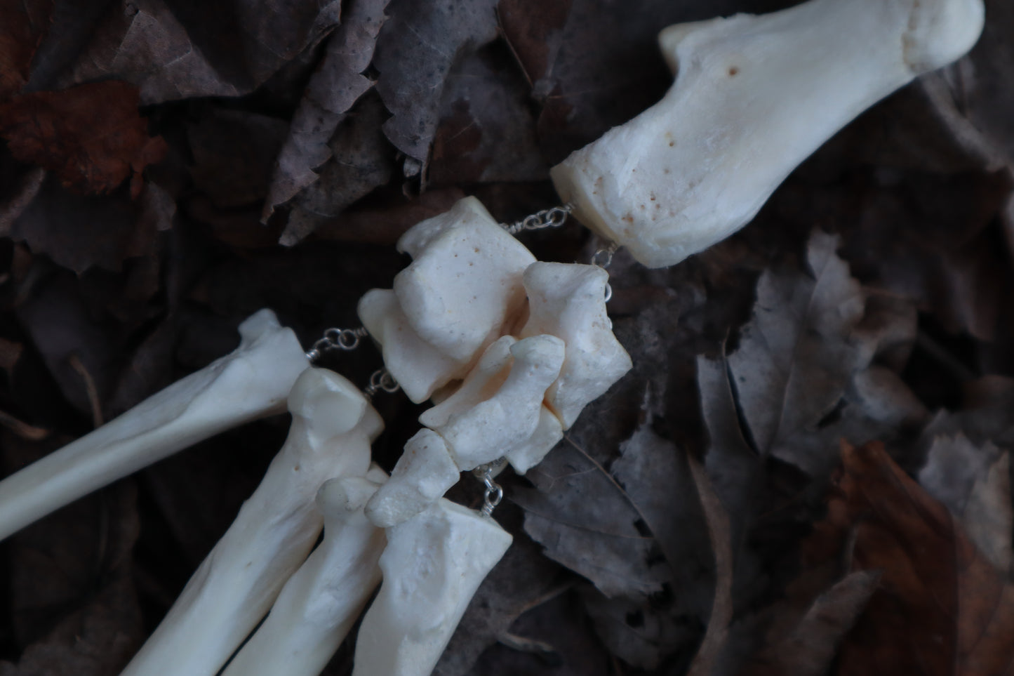 Fluid Gray Wolf Paw Articulation