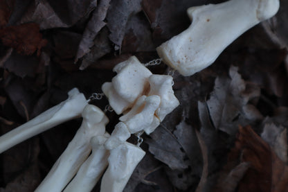 Fluid Gray Wolf Paw Articulation
