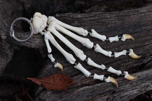 Fluid Gray Wolf Paw Articulation
