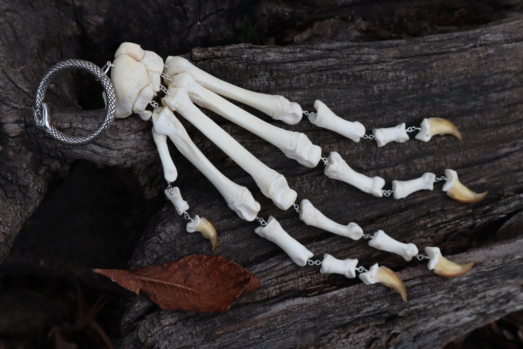 Fluid Gray Wolf Paw Articulation