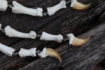 Fluid Gray Wolf Paw Articulation