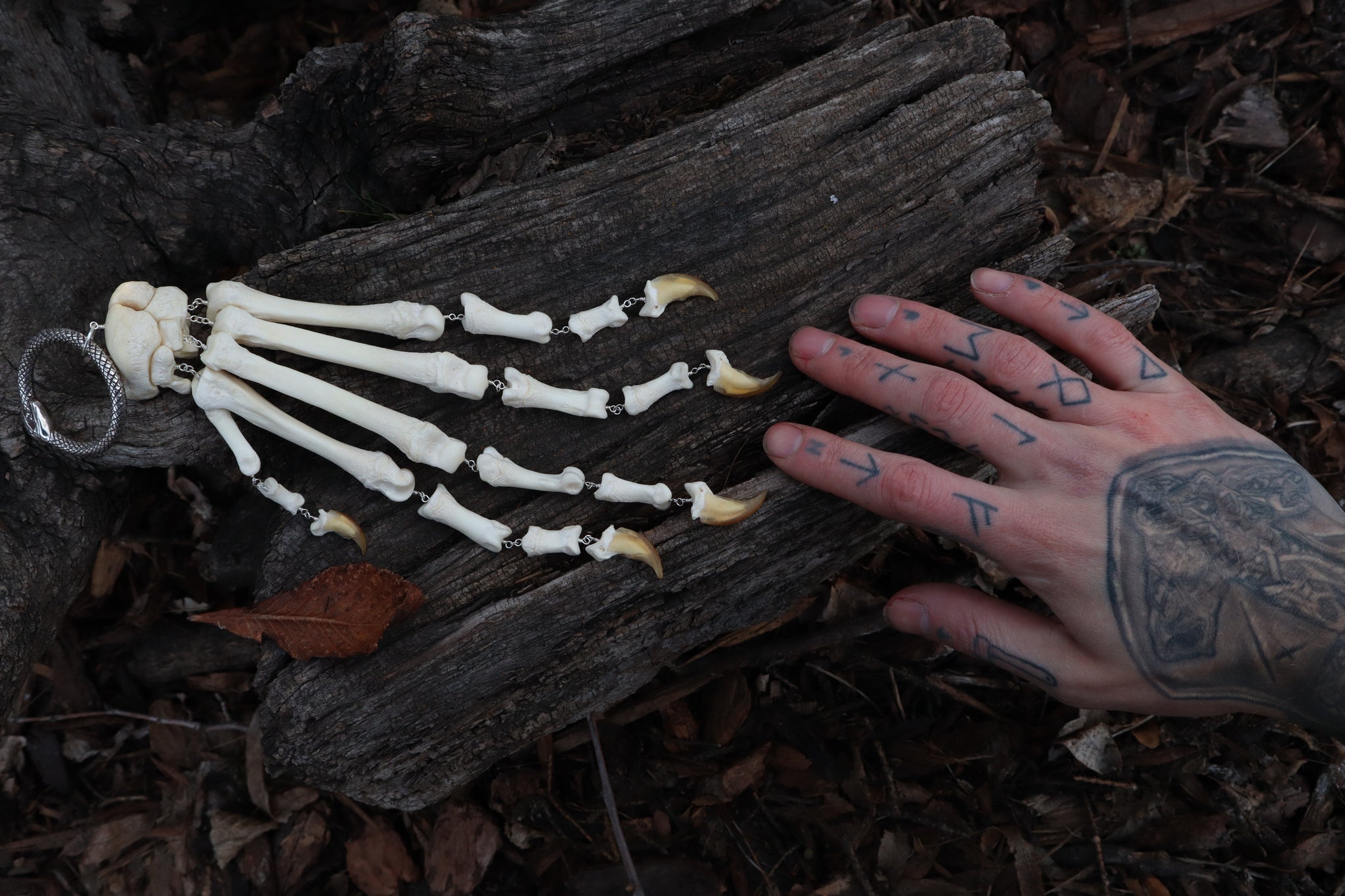 Fluid Gray Wolf Paw Articulation