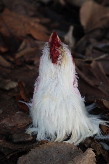Taxidermy Chicken Head