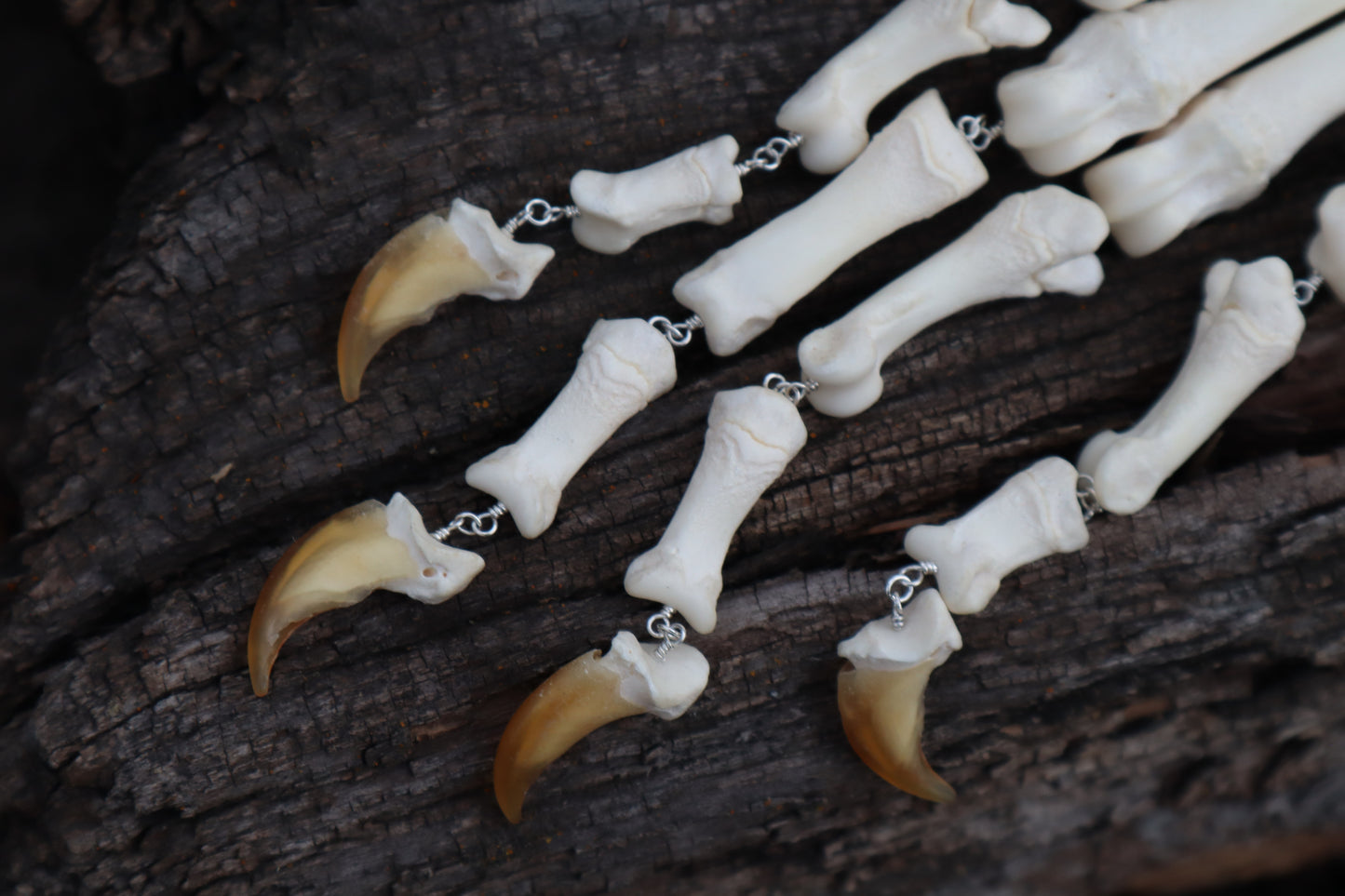 Fluid Gray Wolf Paw Articulation