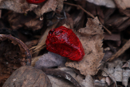 Dry Preserved Chicken Heart