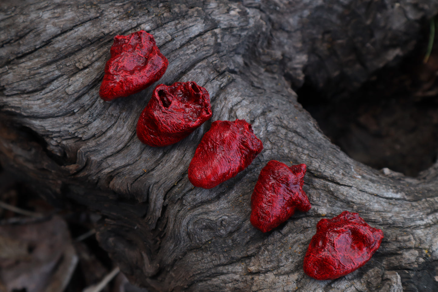 Dry Preserved Chicken Heart