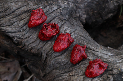 Dry Preserved Chicken Heart