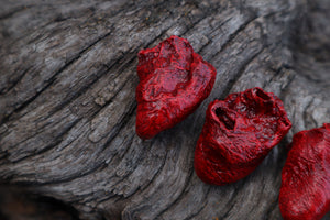 Dry Preserved Chicken Heart