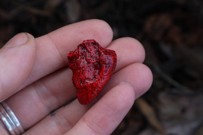 Dry Preserved Chicken Heart