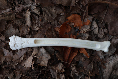 Wolf Bone Forest Spirit Incense Burner