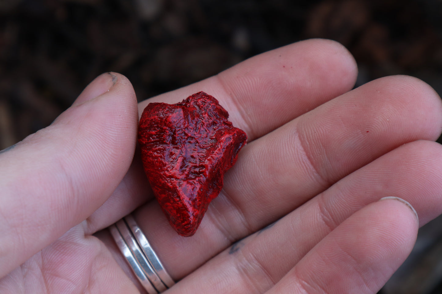 Dry Preserved Chicken Heart