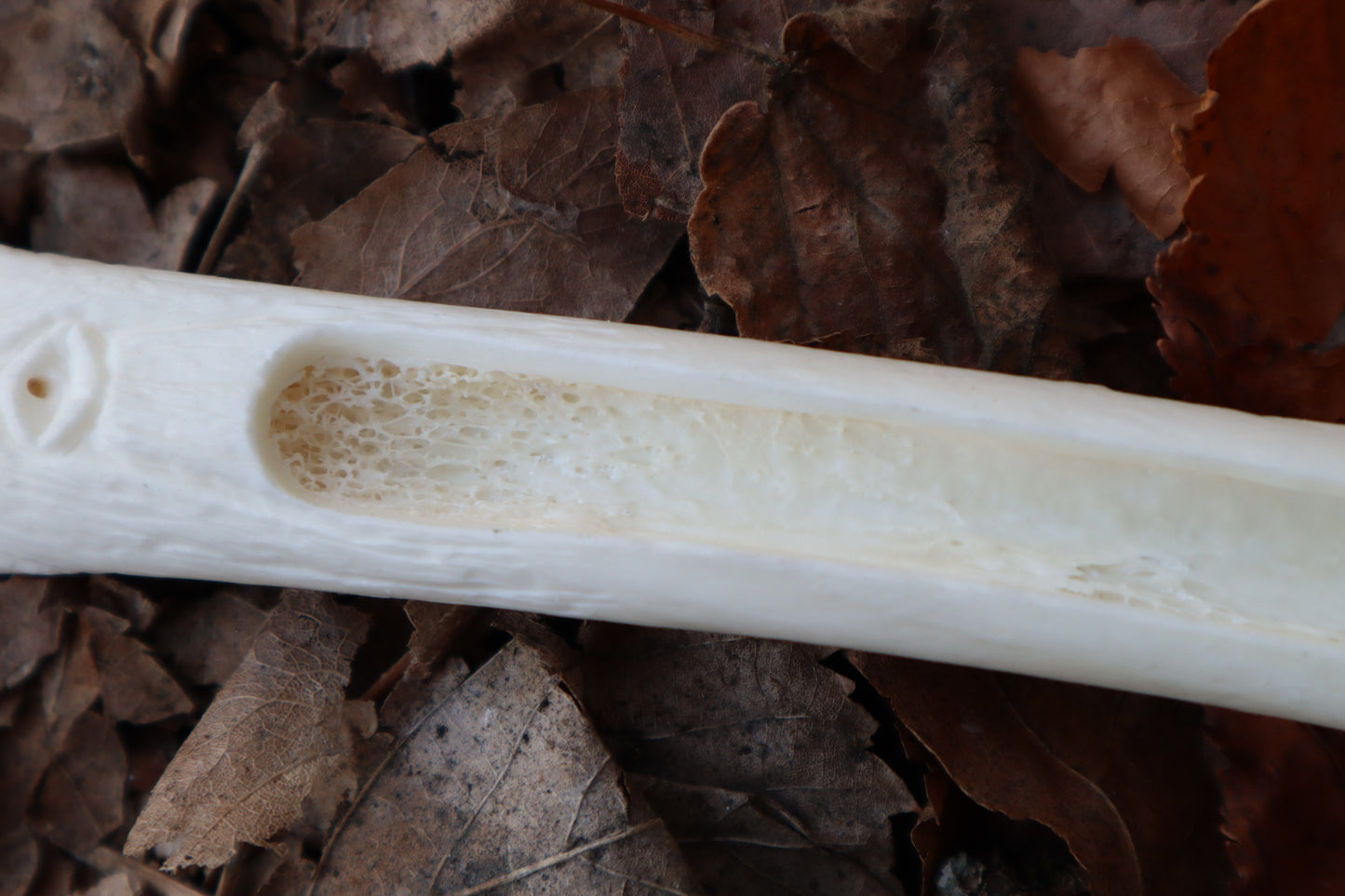 Wolf Bone Forest Spirit Incense Burner