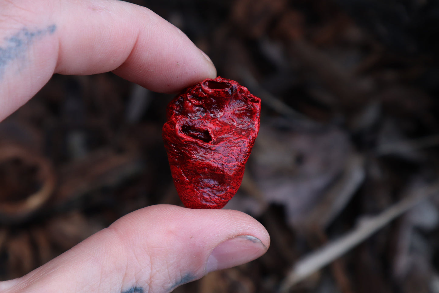 Dry Preserved Chicken Heart