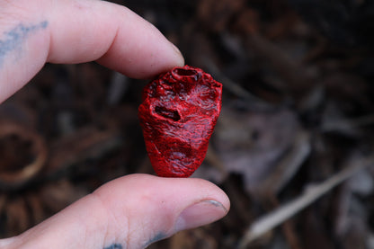 Dry Preserved Chicken Heart