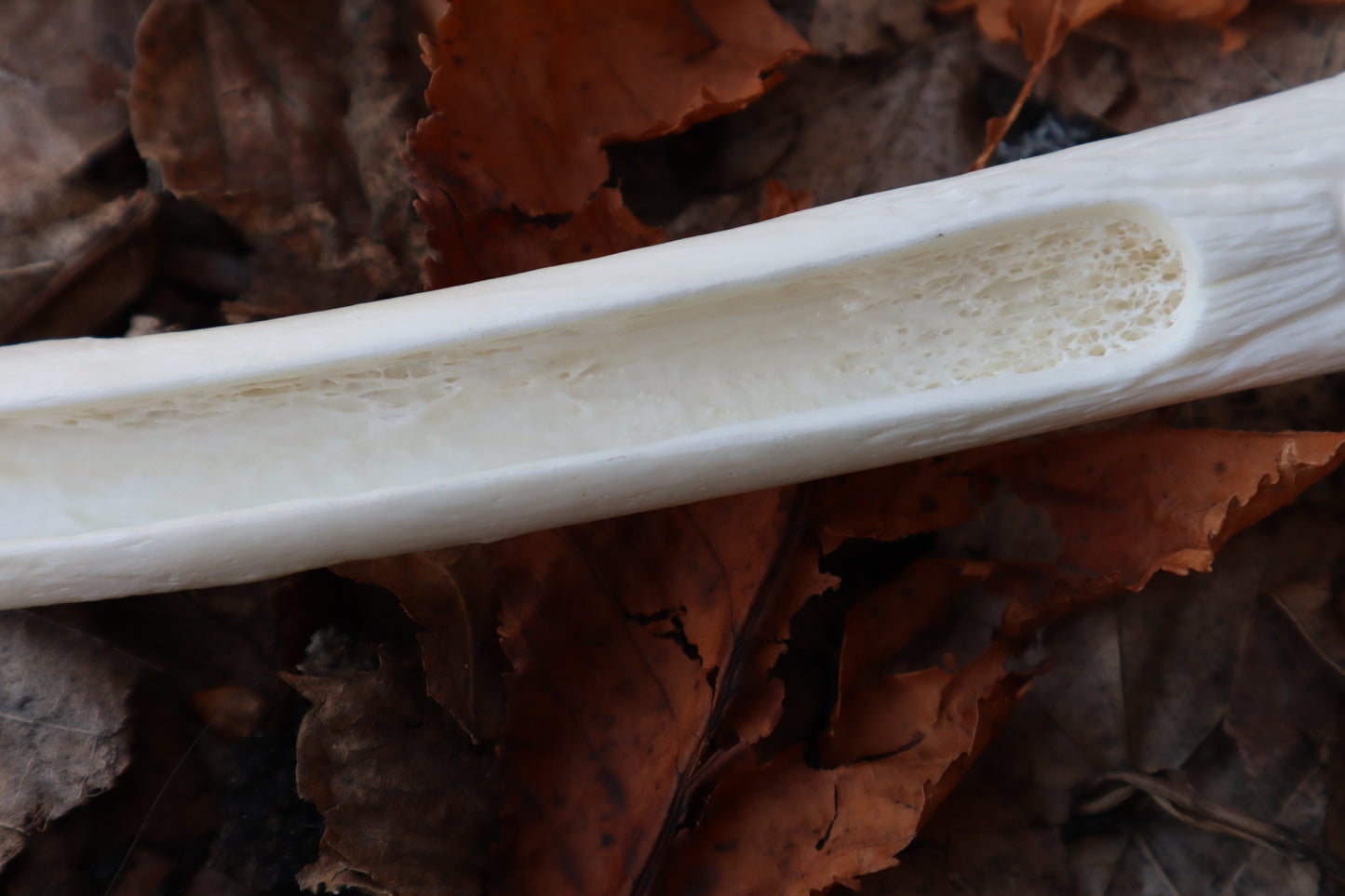 Wolf Bone Forest Spirit Incense Burner