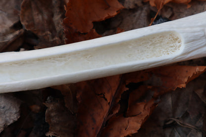 Wolf Bone Forest Spirit Incense Burner
