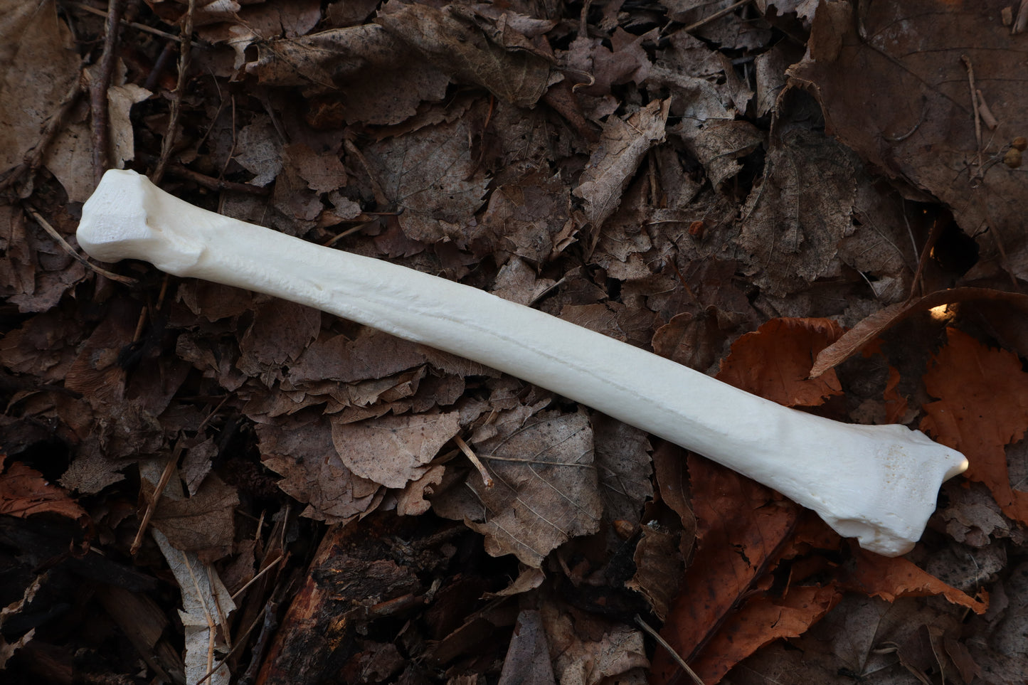 Wolf Bone Forest Spirit Incense Burner