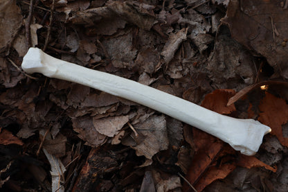 Wolf Bone Forest Spirit Incense Burner