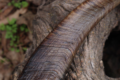 Goat Horns - Pair