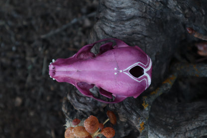 Naturally Stained Raccoon Skullpture